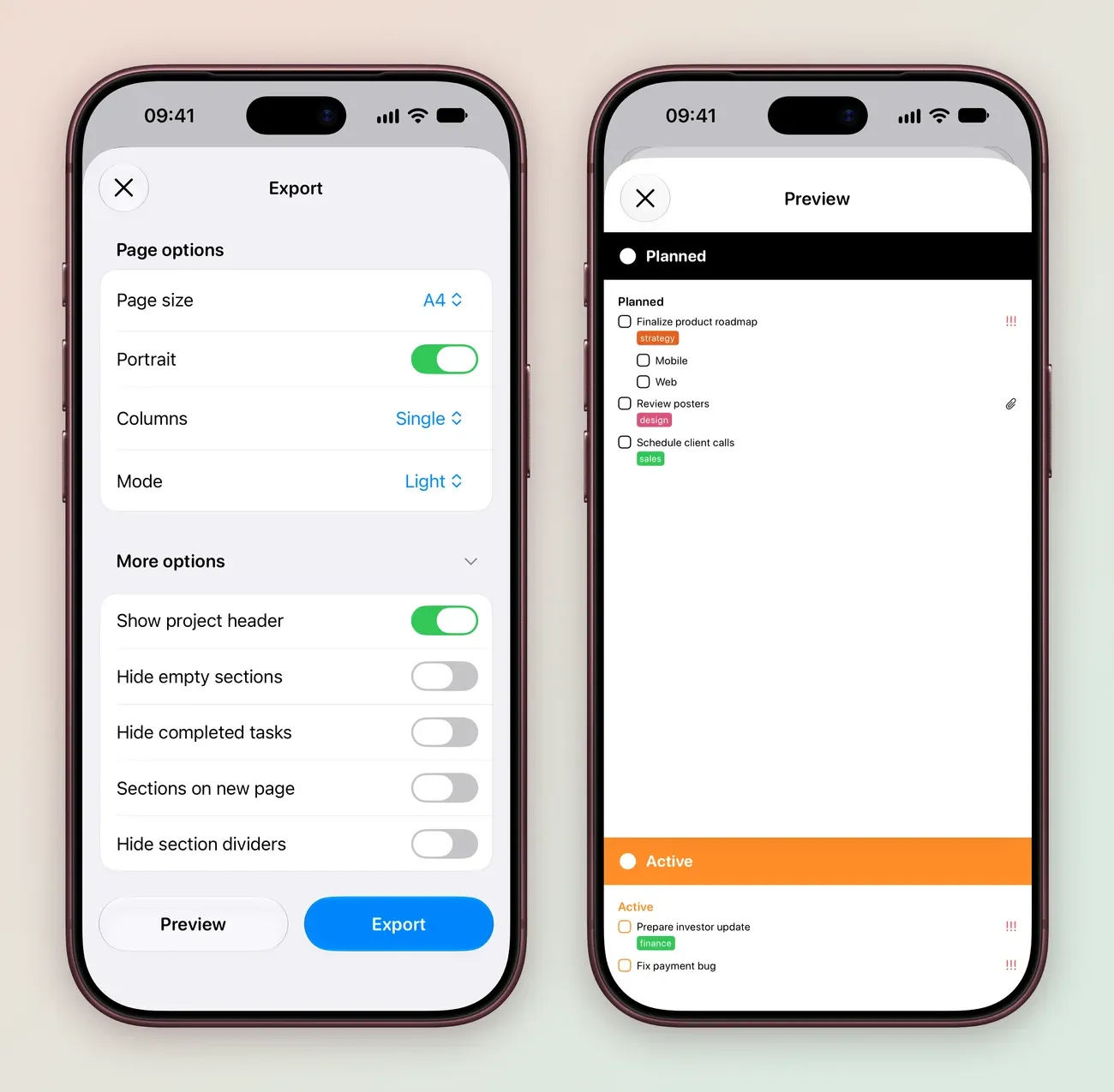 Two iPhone screens: the Export sheet with Page size A4, Portrait on, Columns Single and Mode Light, More options with Show project header on and Hide empty sections, Hide completed tasks, Sections on new page and Hide section dividers off, and Preview and Export buttons; and the Preview of the Work PDF with a Planned section listing Finalize product roadmap with its Mobile and Web subtasks, Review posters and Schedule client calls, then an Active section with Prepare investor update and Fix payment bug.