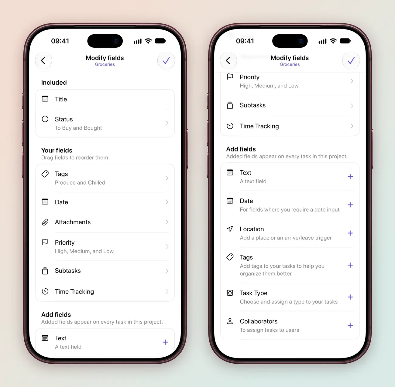 Two iPhone screens: Modify fields for Groceries with Title and Status (To Buy and Bought) included, and Your fields listing Tags (Produce and Chilled), Date, Attachments, Priority (High, Medium, and Low), Subtasks and Time Tracking; and the list scrolled to Add fields, offering Text, Date, Location, Tags, Task Type and Collaborators.